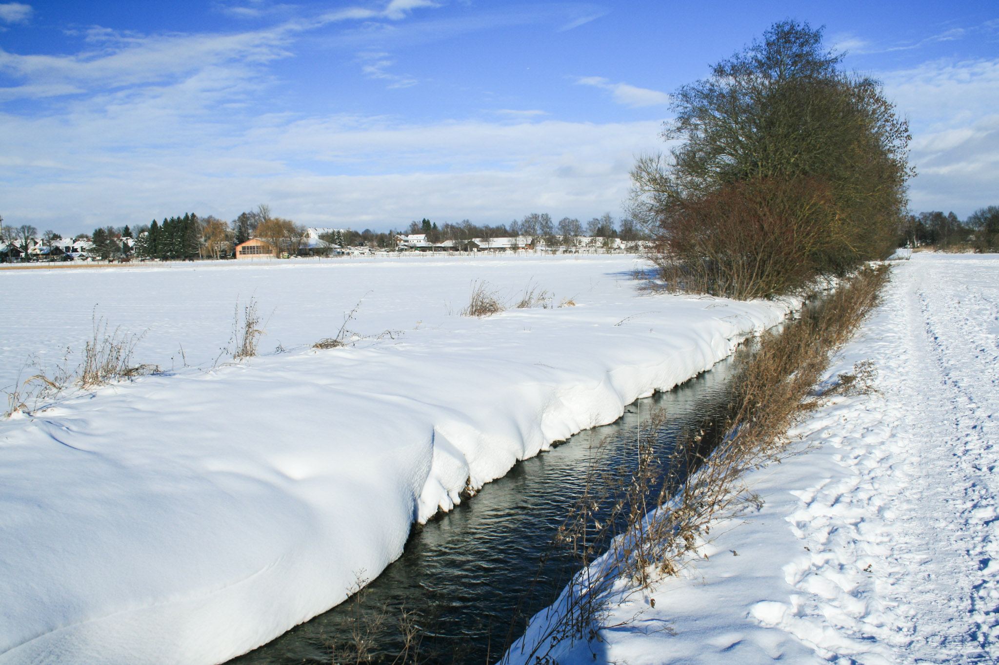 Winter im Schwabener Moos Winter im Schwabener Moos