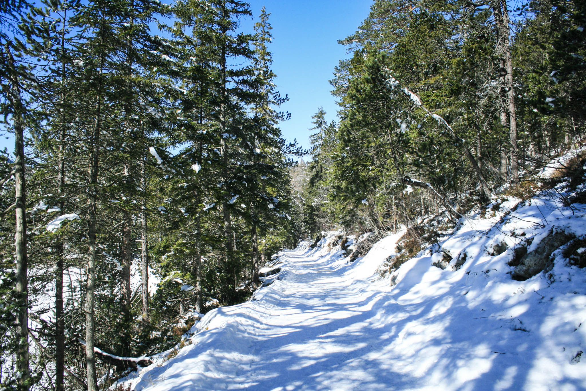 Auf dem Wanderweg um den Eibsee Auf dem Wanderweg um den Eibsee