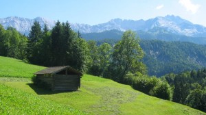 Schönes Panorama auf den Wiesen des Vordergrasecks, dabei steht der eigentliche Aufstieg zum Gipfel noch bevor!