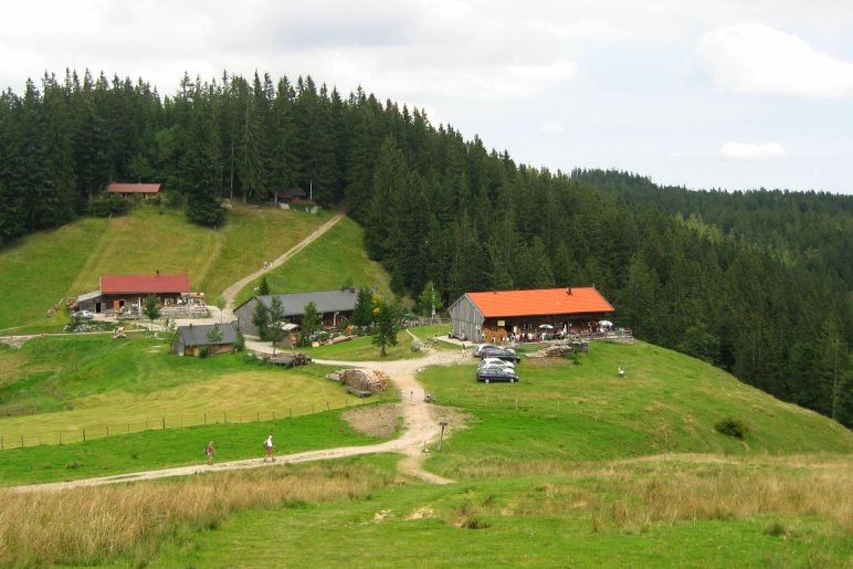 Der Blick vom Gipfelkreuz der Gindelalmschneid hinunter auf die Gindelalm