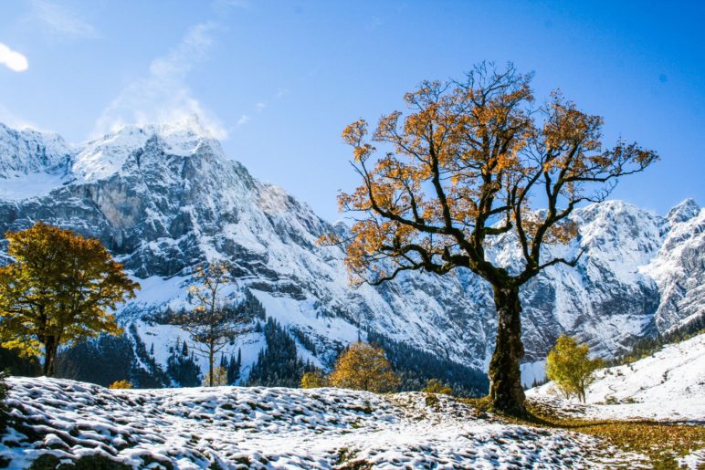 Herbstliche Ahornbäume und erster Schnee. Für Fotofreunde ist der große Ahornboden ein Paradies