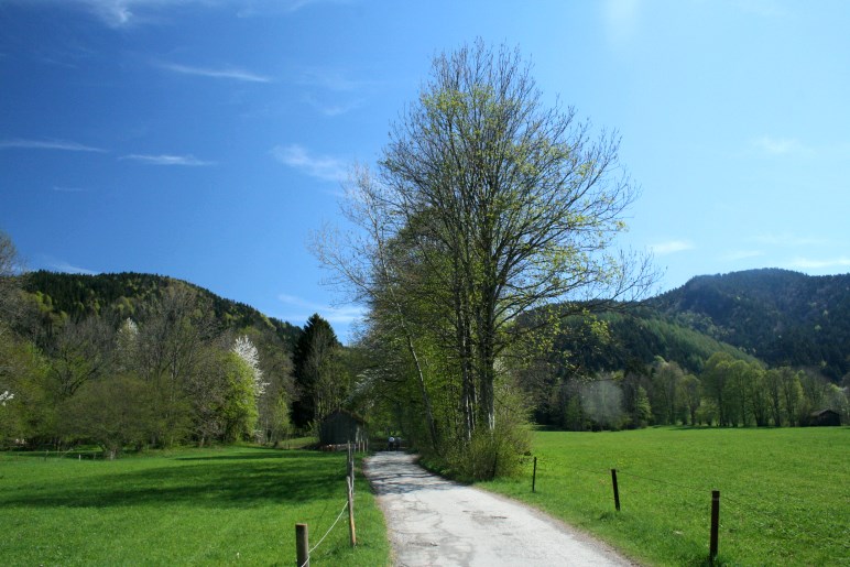 Der Weg Richtung Keilkopf und Denkalm