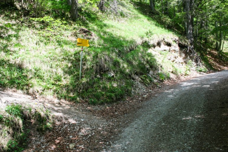 Der Abzweig zur Mariandlalm, weg vom breiten Fahrweg