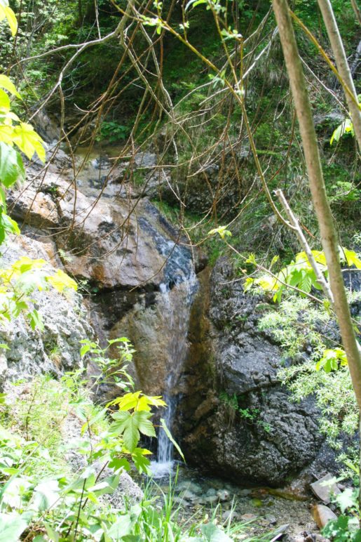 Ein kleiner Wasserfall am Rand unseres Aufstiegswegs