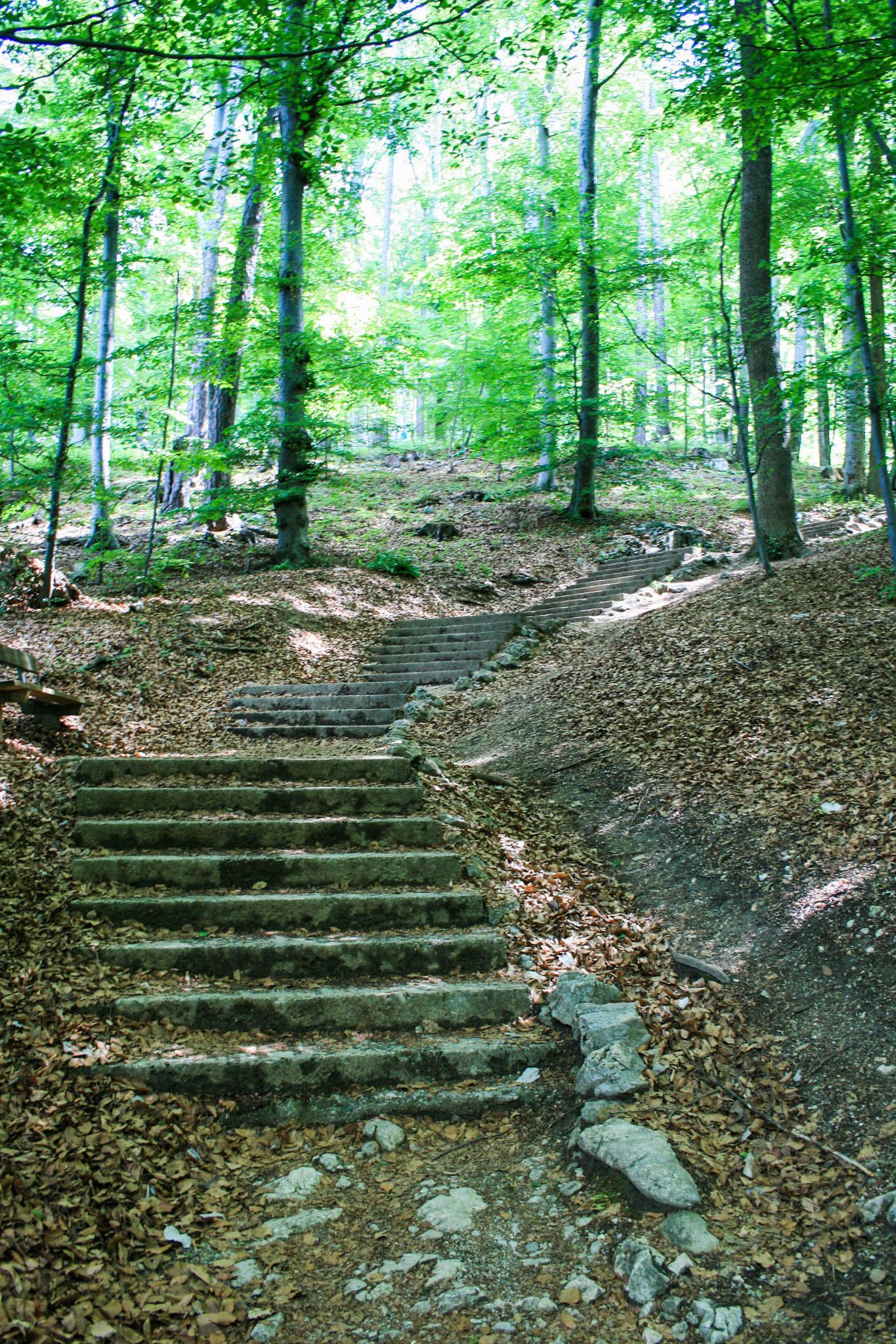 Auf Treppen durch den Wald Auf Treppen durch den Wald