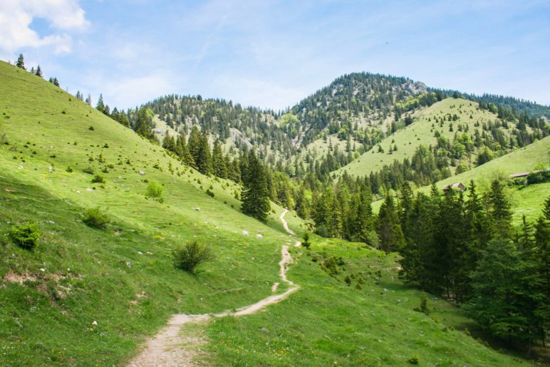 Der Wanderweg oberhalb des Trockenbachtals