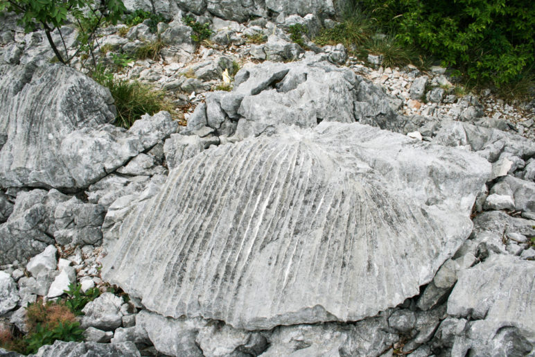 Steine mit auffälligen Verwitterungsspuren wie diesen Rillenmustern finden sich am Colodri häufig