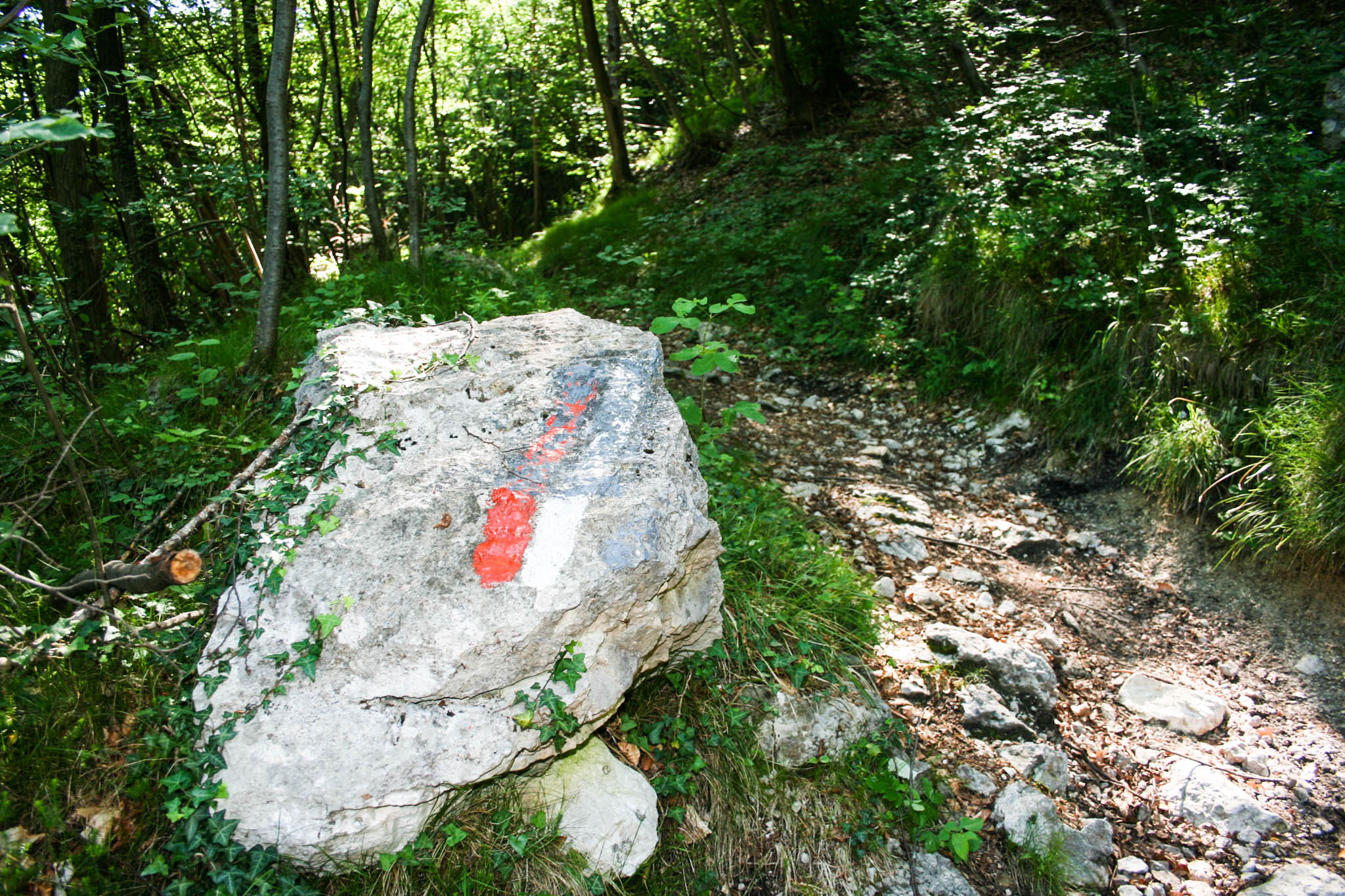 Der Weg von Pregasina auf den Nodice Der Weg von Pregasina auf den Nodice