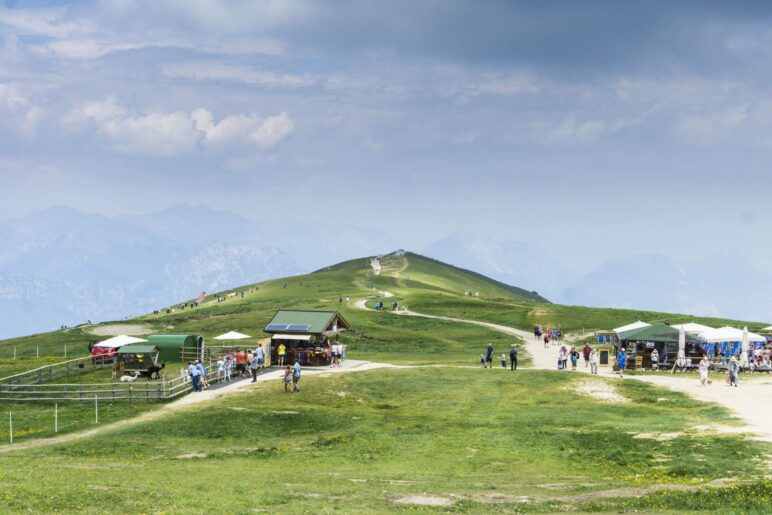 Die Alpakas stehen gleich gegenüber der Berghütte La Capannina
