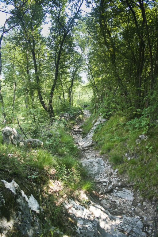 Ein schmaler Weg führt von der Madona zur Via Paier