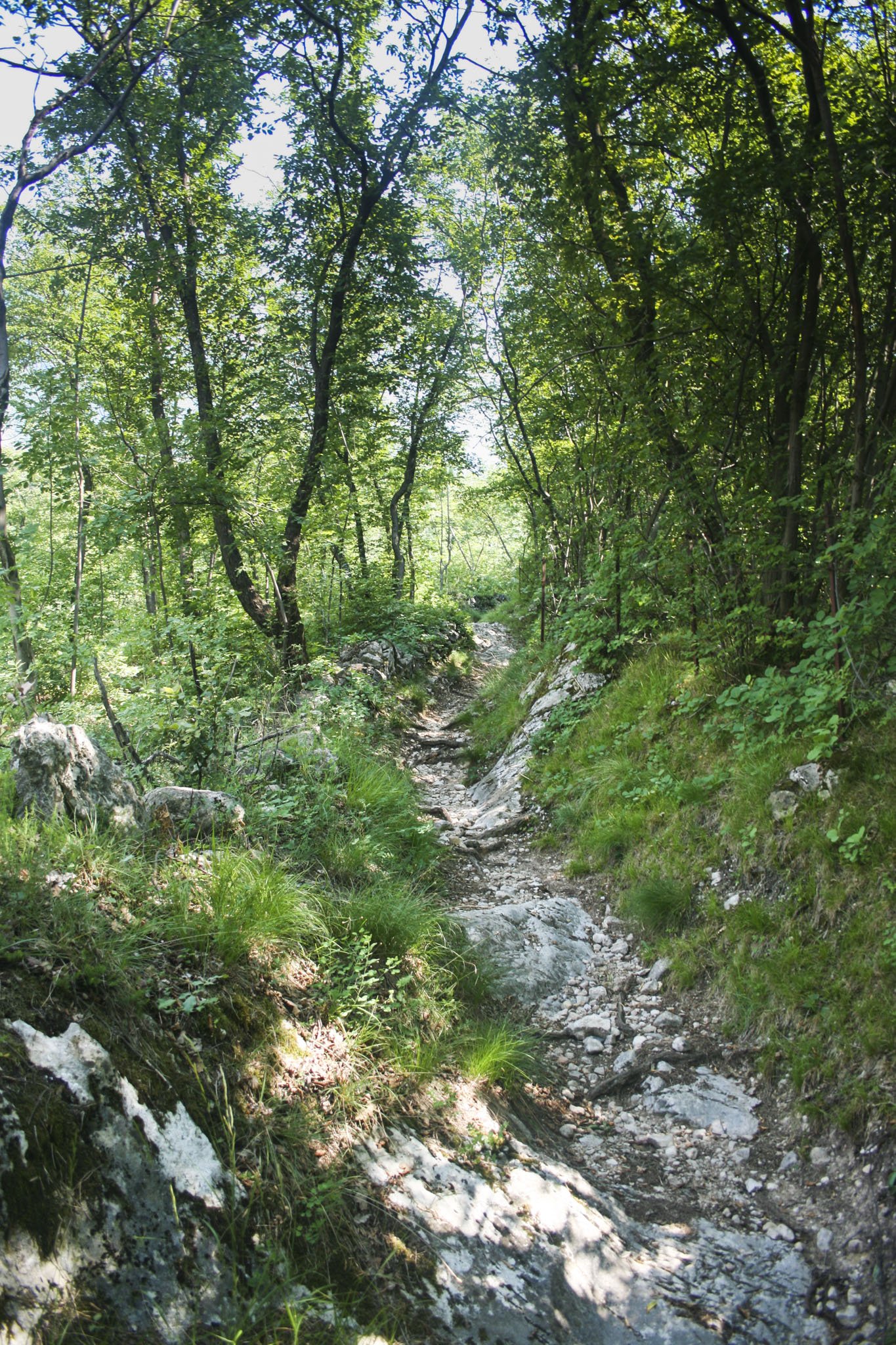Ein schmaler Weg führt von der Madona zur Via Paier Ein schmaler Weg führt von der Madona zur Via Paier