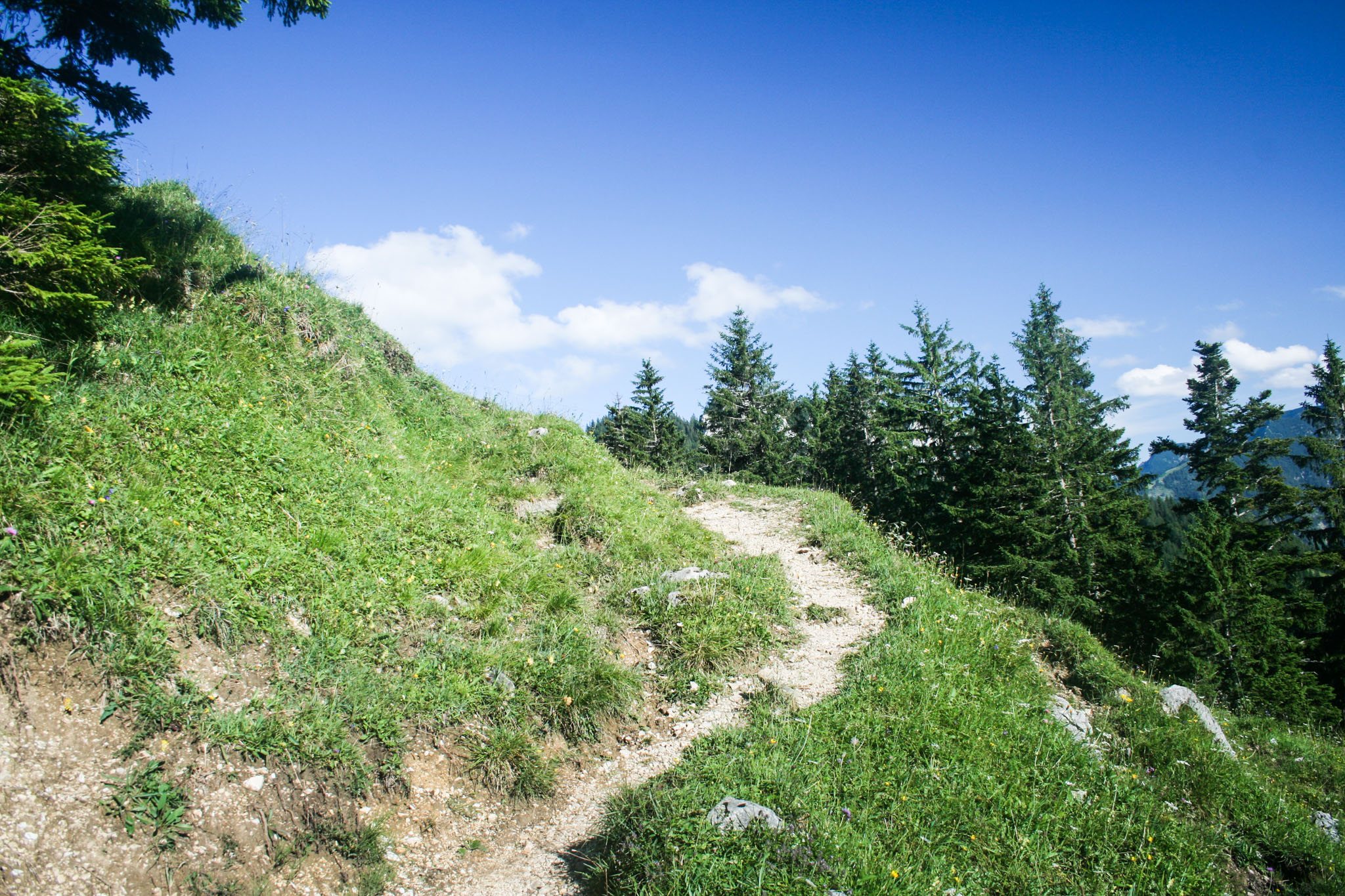Auf dem Rückweg nach Birkenstein Auf dem Rückweg nach Birkenstein