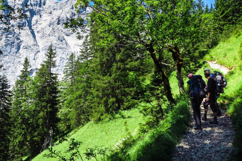 Bergblick aus dem Wald heraus