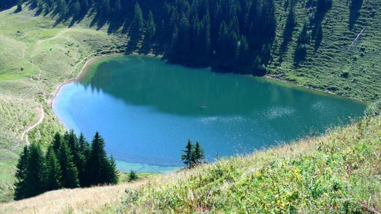 Im Abstieg vom Roßkopf sieht man auf den Grünsee hinab