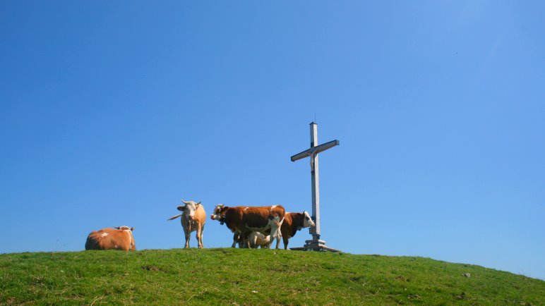 Am Roßkopf-Gipfel