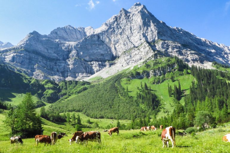 Blick aus der Eng zur Spritzkarspitze