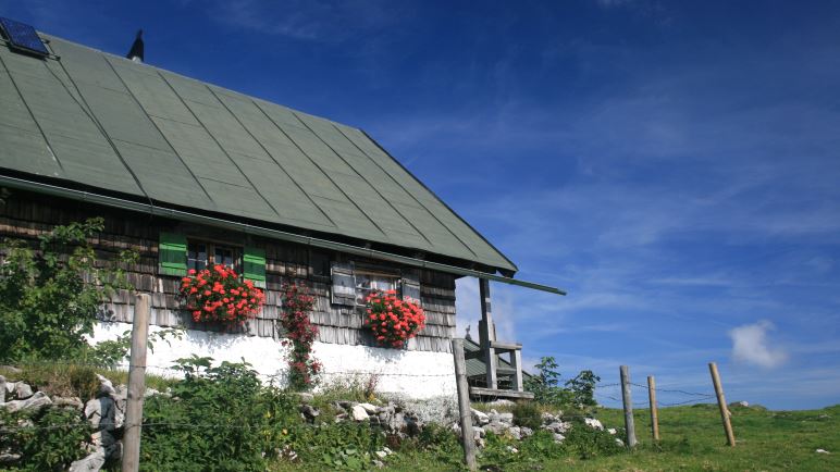 Rund um die Sonnbergalm kann man es sich auf den Wiesen gemütlich machen