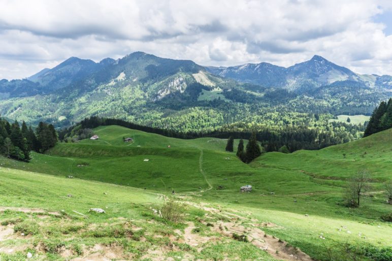 Ausblick Richtung Hochries und Spitzstein, oberhalb der Daffnerwaldalmen