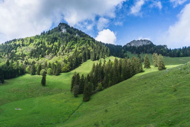 Der Blick auf den Heuberg und den felsigen Gipfel der Wasserwand