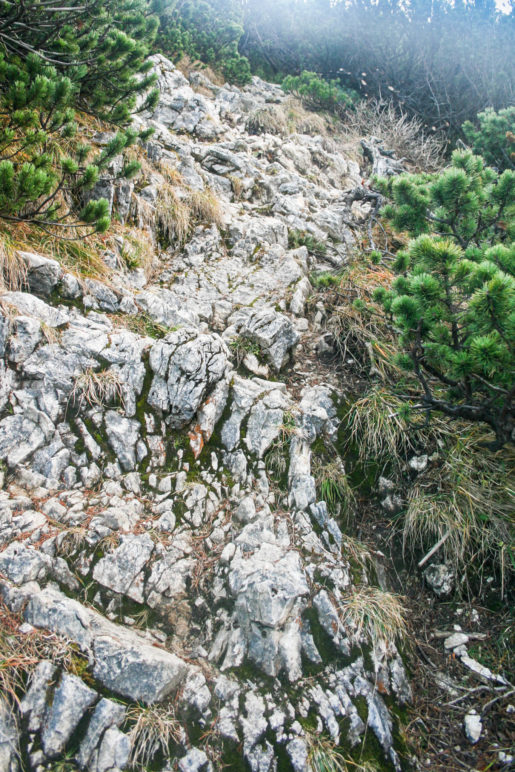 Felsiger Weg zum Gipfel der Hochplatte