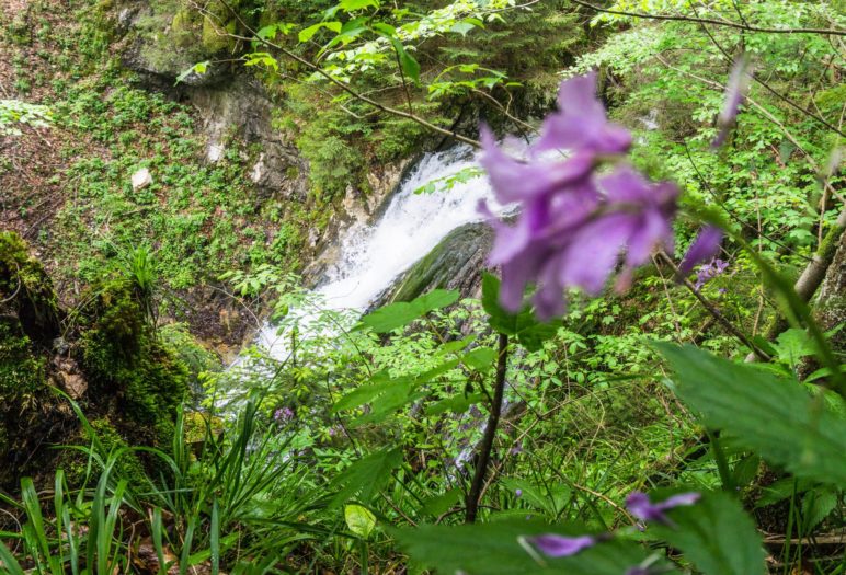 Der erste Wasserfall