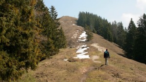 Die Baumgartenschneid zwischen Tegernsee und Schliersee