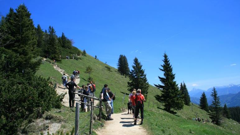 Allein ist man hier nicht: Links geht es zum Gipfel des Jochbergs