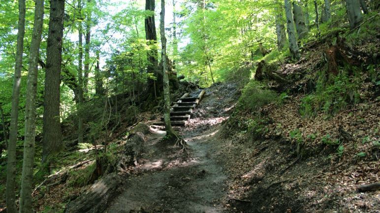 Auf dem Weg zum Jochberg-Gipfel