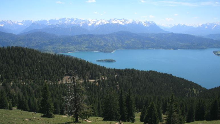 Blick vom Jochberg auf den Walchensee und die Alpen