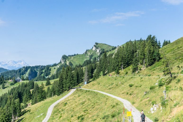 Unterwegs auf dem Brauneck Panoramaweg und dem kleinen Höhenweg