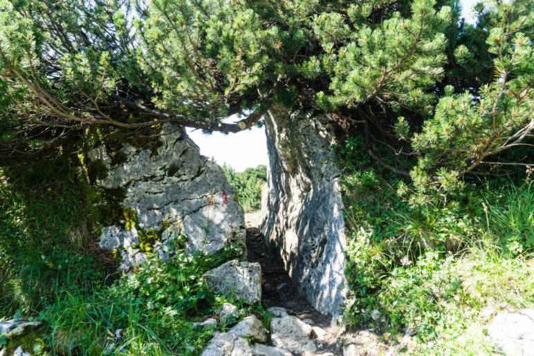 Ein steinernes Tor. Hier führt der Weg hindurch zum Abzweig Richtung Benediktenwand