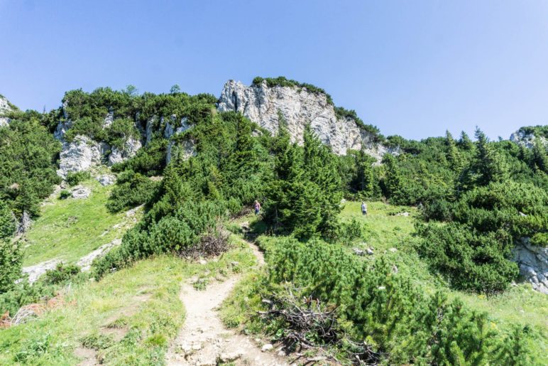 Auf dem Weg zur Stie-Alm