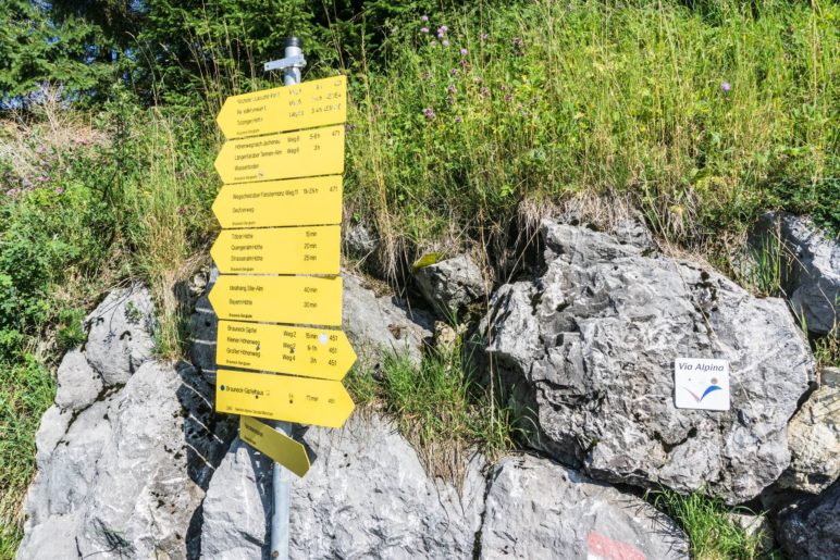 Der umfangreiche Wegweiserbaum zeigt Touren verschiedener Längen und Schwierigkeitsgrade