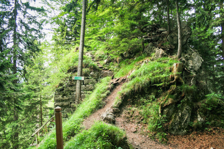 An der Ruine Hohenwaldeck