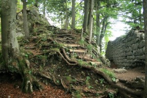 Die Burgruine Hohenwaldeck über dem Schliersee