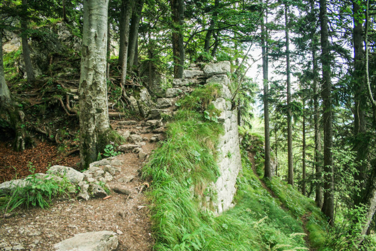 Mauer der Ruine Hohenwaldeck