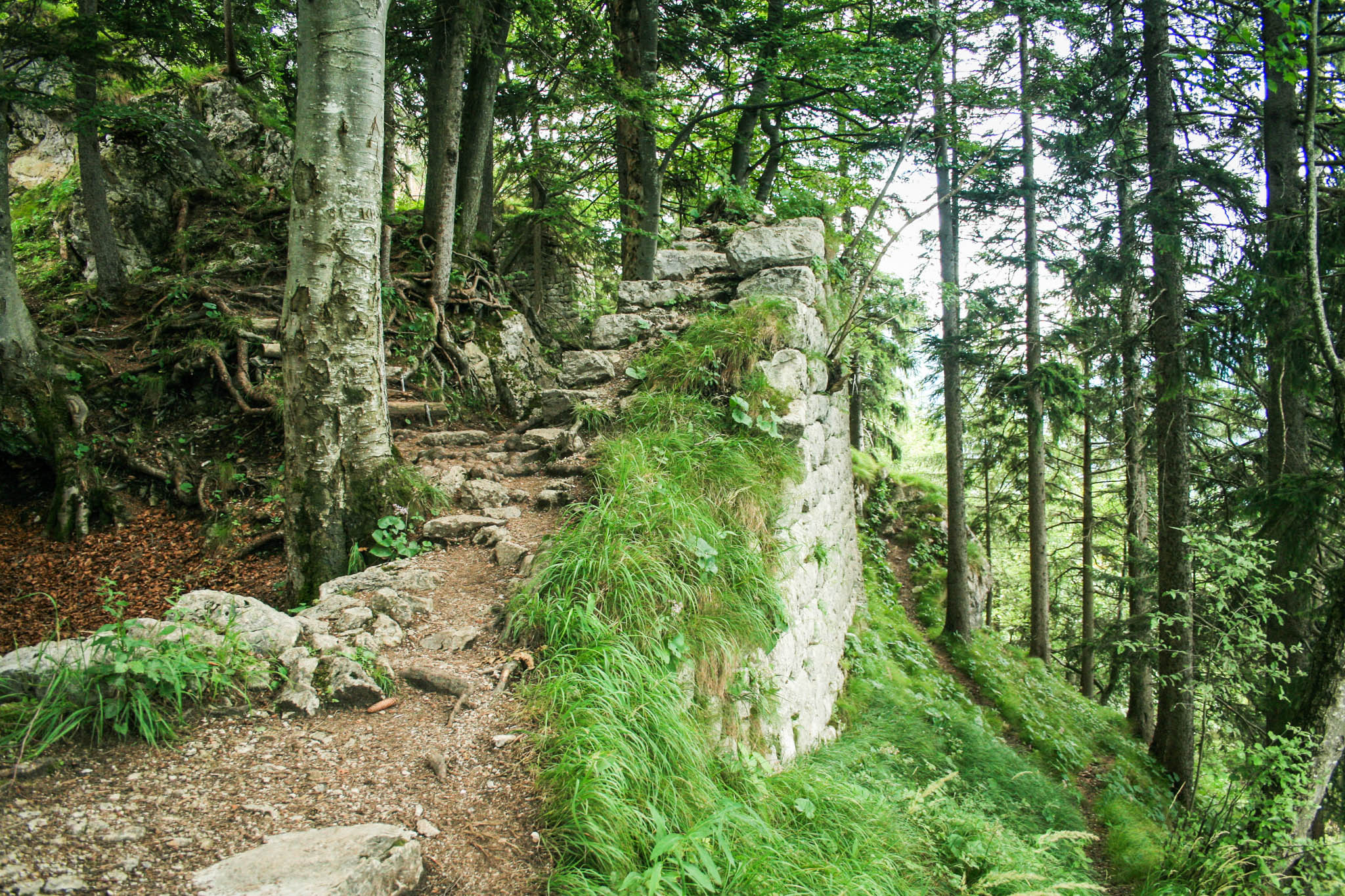 Mauer der Ruine Hohenwaldeck Mauer der Ruine Hohenwaldeck