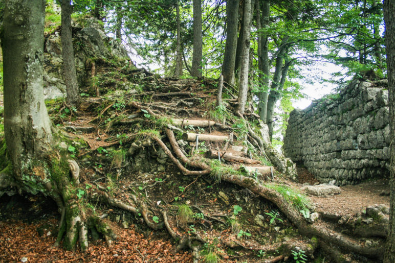 Die Burgruine Hohenwaldeck über dem Schliersee