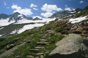 Auf dem Steinplattenweg geht es bergauf zur Hütte