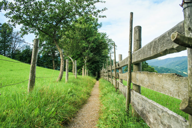 Der Wanderweg am Hof Oberleiten