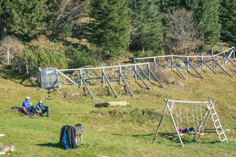 Der Alpenpflanzengarten an der Vorderkaiserfeldenhütte