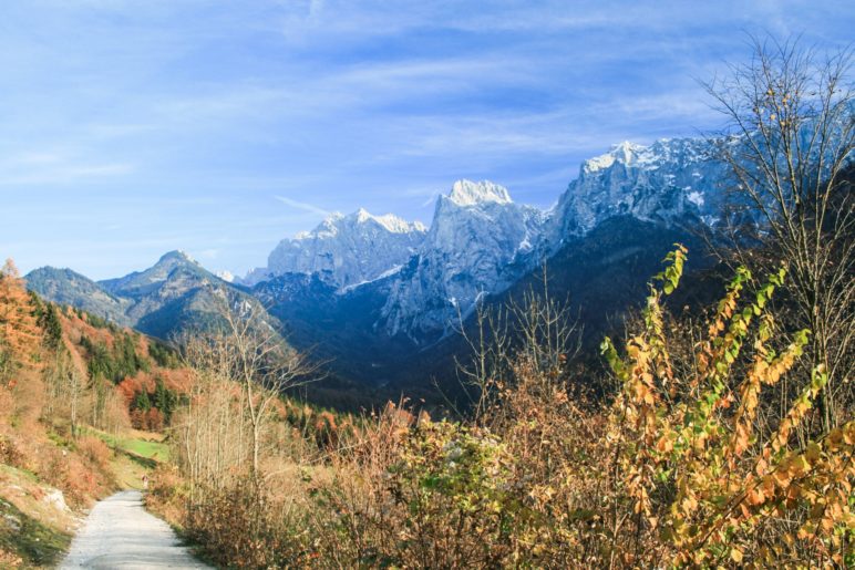 Kaisertal und Wilder Kaiser