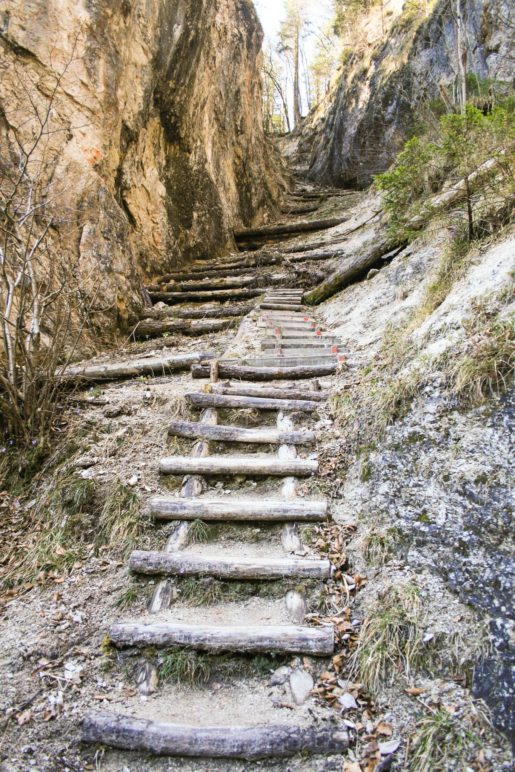 Wilde Stufen führen bergab zum Kaiserbach