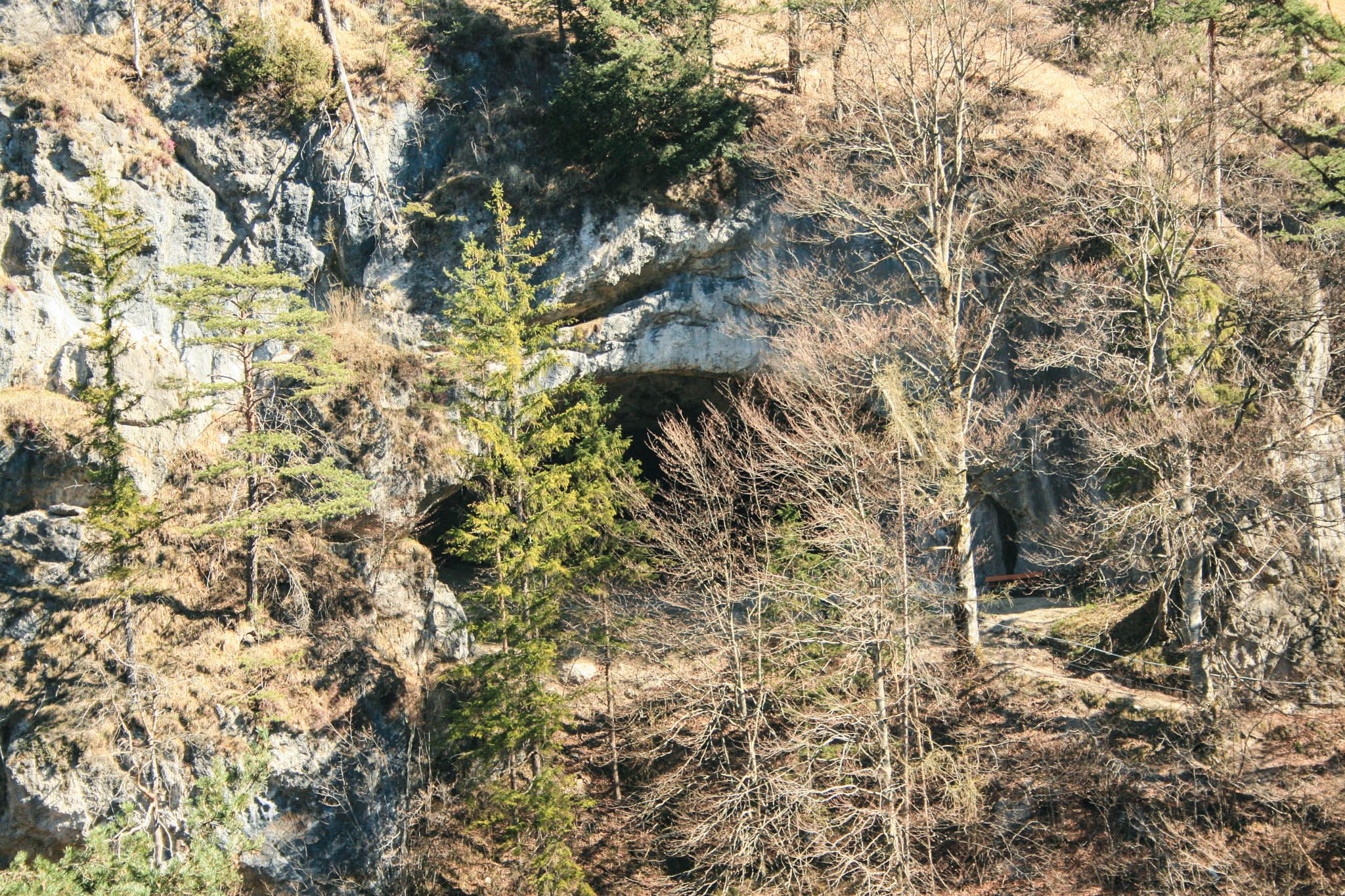 Erster Blick auf die Tischoferhöhle Erster Blick auf die Tischoferhöhle