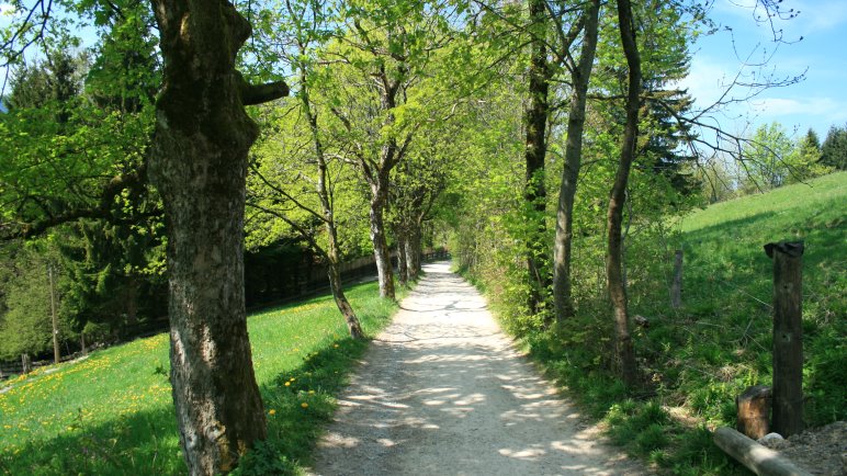 Auf dem Weg zur Schliersbergalm