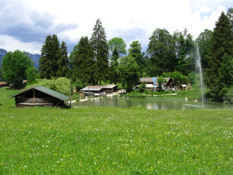 Kochelbergalm mit Wiese und Weiher