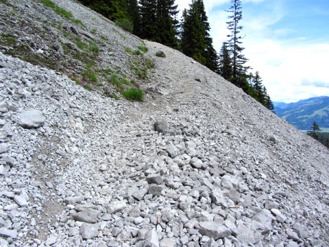 Der Abstiegsweg führt auch durch das Geröllfeld Der Abstiegsweg führt auch durch das Geröllfeld