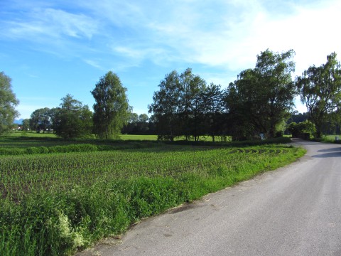 Schön hier bei Aßling, wo sich Längengrad und Breitengrad treffen