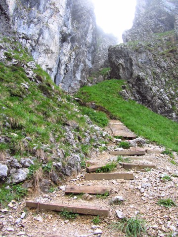 Holzstufen vor dem Einstieg ins Klamml Holzstufen vor dem Einstieg ins Klamml