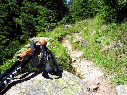 Ein guter Rastplatz: Sitzfelsen im Wald, trotzdem schön sonnig